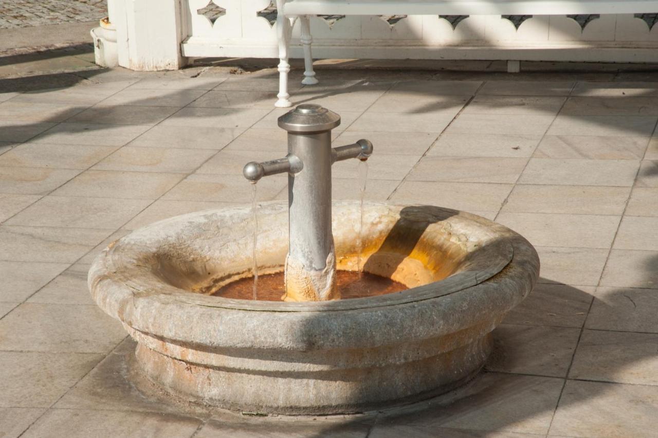 Spa Moser Apartments Karlovy Vary Ngoại thất bức ảnh